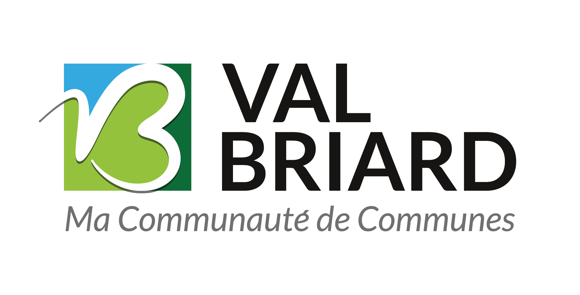 Logo_Val_Briard_COUL_cadre_blanc_ok.png